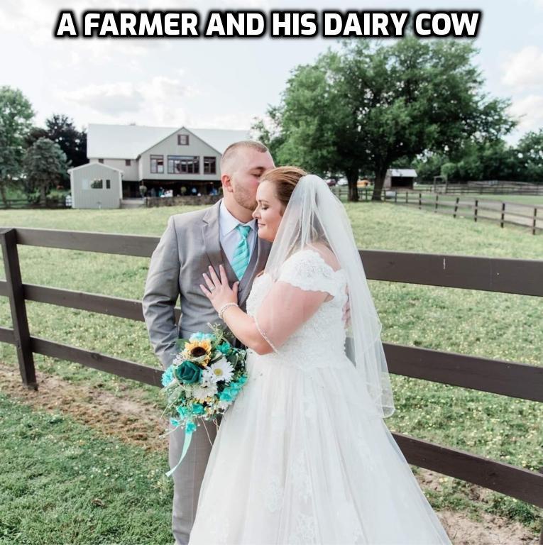 A farmer marry his cattle - meme