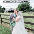 A farmer marry his cattle