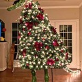 Just finished putting up the Tree Rex