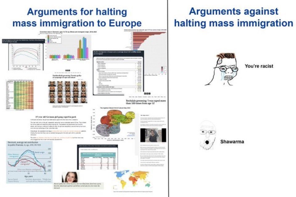 dongs in a debate - meme