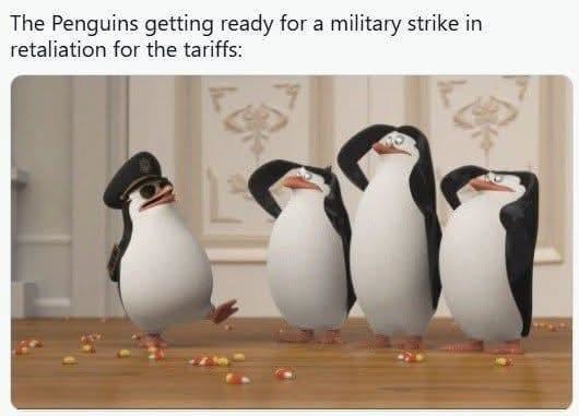 Penguins training for the inevitable retaliation - meme