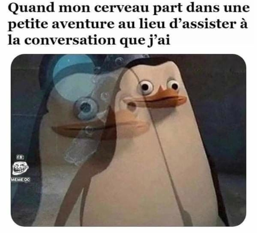 Mon cerveau en PLS pendant une conversation - meme