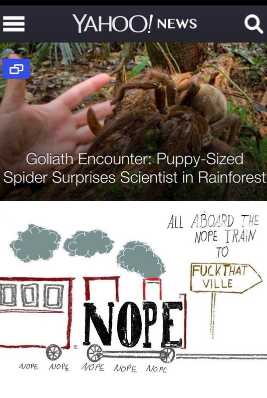 All aboard the NOPE train - meme