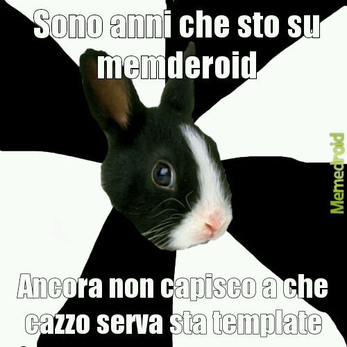 Titolo (copyright) - meme