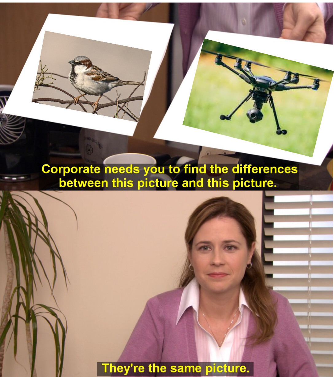 Bird watching goes both ways! - meme