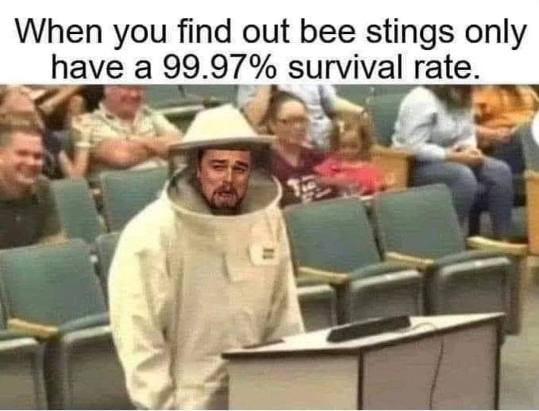 Bees are extremely dangerous insects - meme