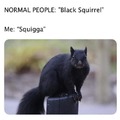Squigga