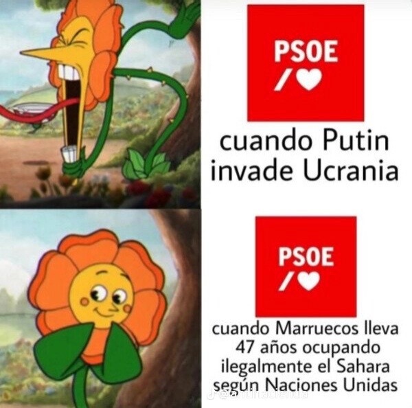 La lógica del PSOE (ellos le deben algo a Marruecos) - meme