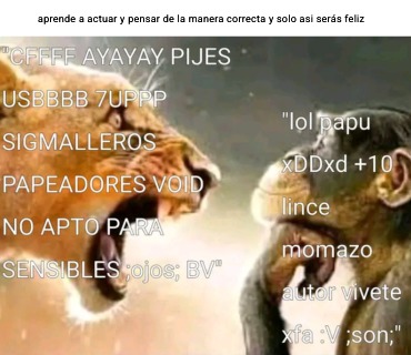 Pijellero/PapuBv - meme