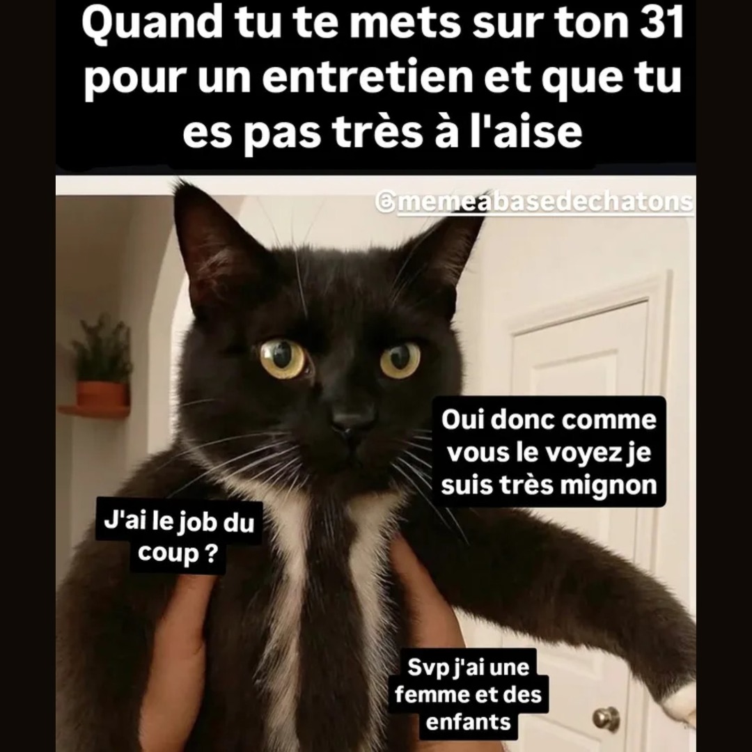 J’ai sorti mon plus beau look et zéro charisme en entretien - meme