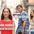 Bear grylls