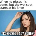 Do ladies get boners