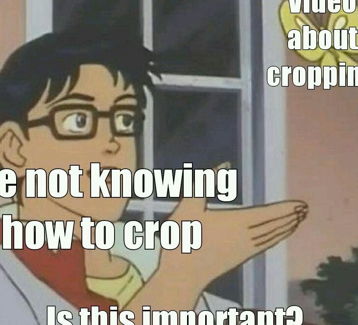 Know how to crop people!!! - meme