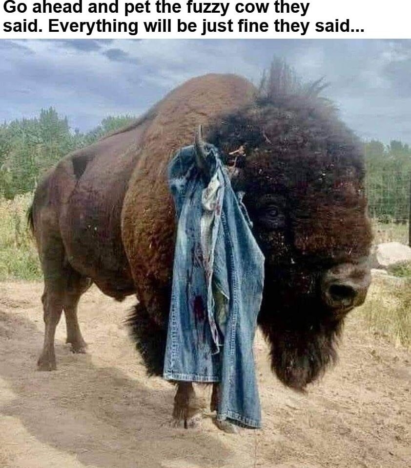 This should be a sign in Yellowstone - meme