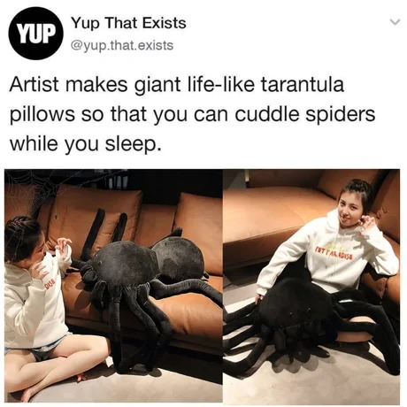 Cuddle spiders while you sleep - meme