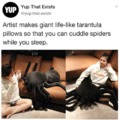 Cuddle spiders while you sleep