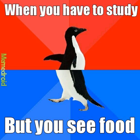 I have to study..... - meme