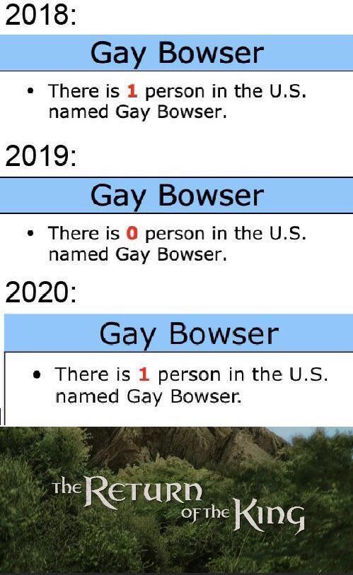 Gay Bowser - meme