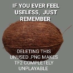Coconut.png - meme