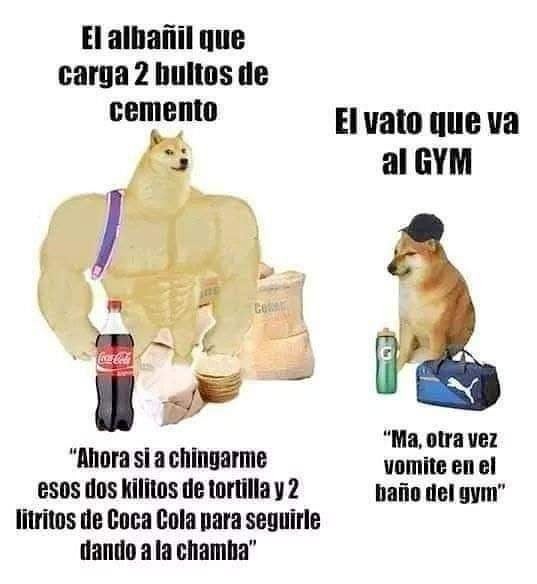 Albañil vs Gym bro - meme