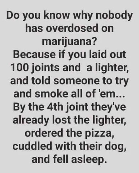 The best Weed memes :) Memedroid