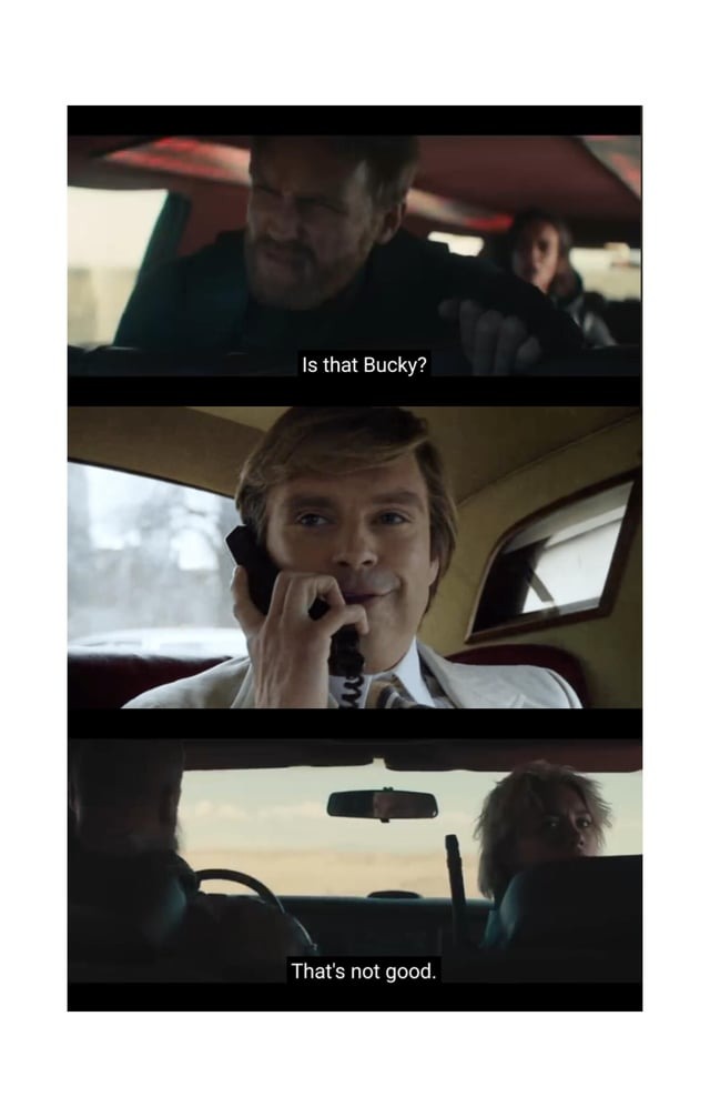 Bucky Trump meme