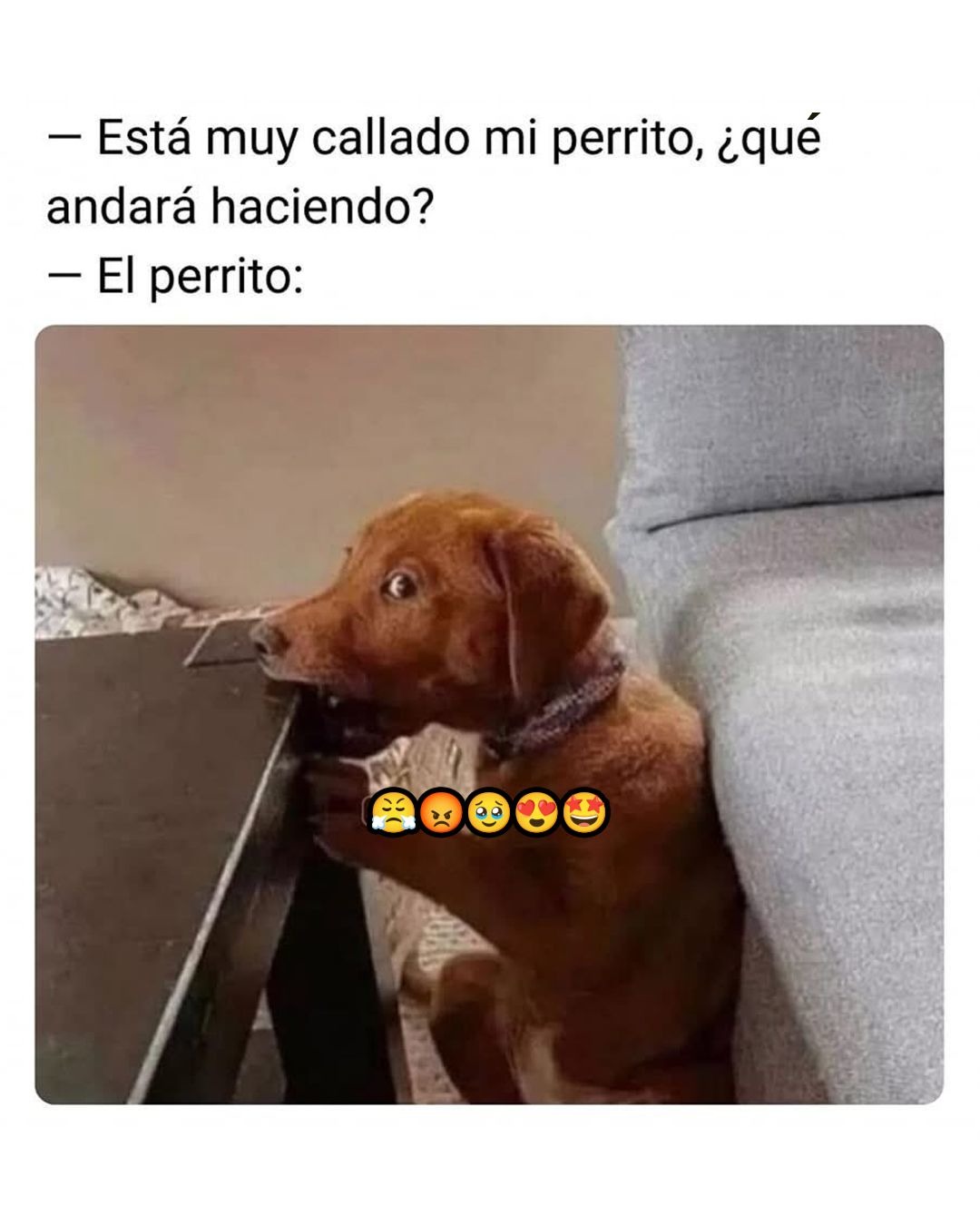 Siempre calladito - meme