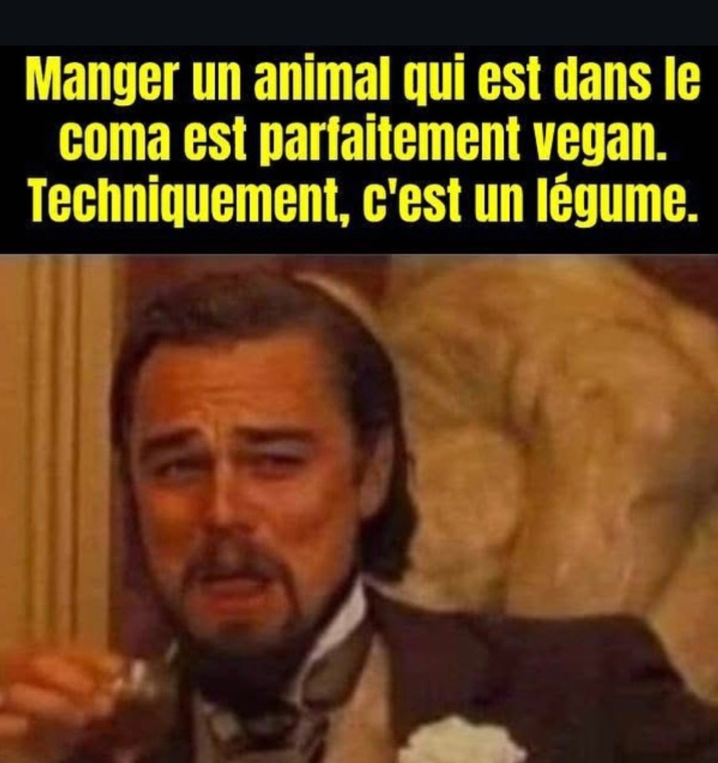 Techniquement si la vache est dans le coma c’est vegan - meme