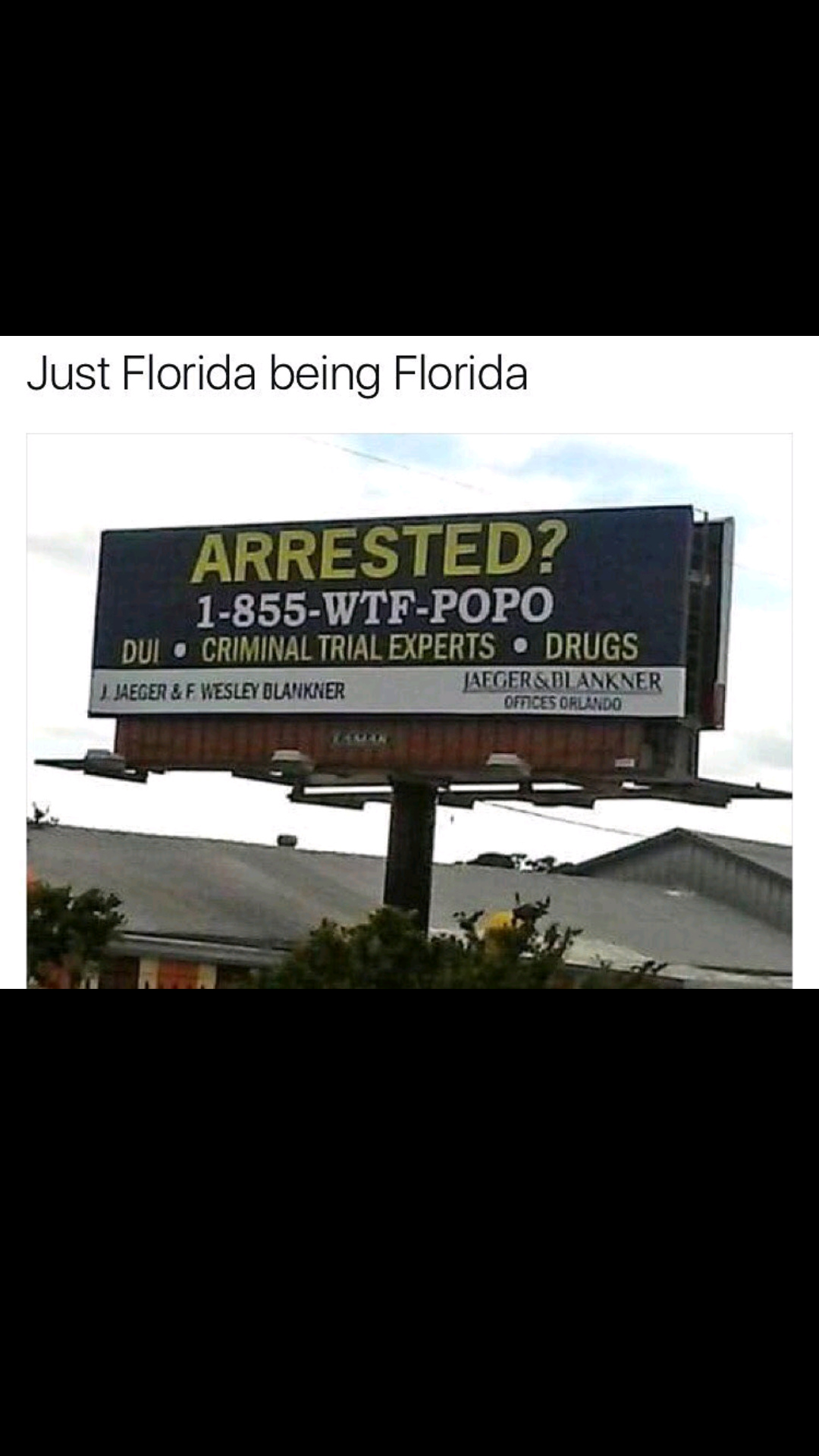 Flordia - meme