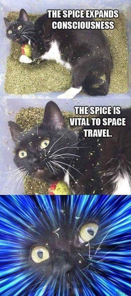 Spice travel - meme