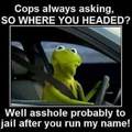 God damm cops!!!!