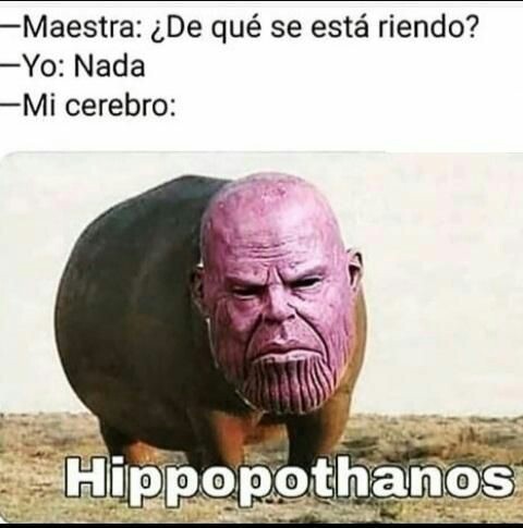 Hipopothanos - meme