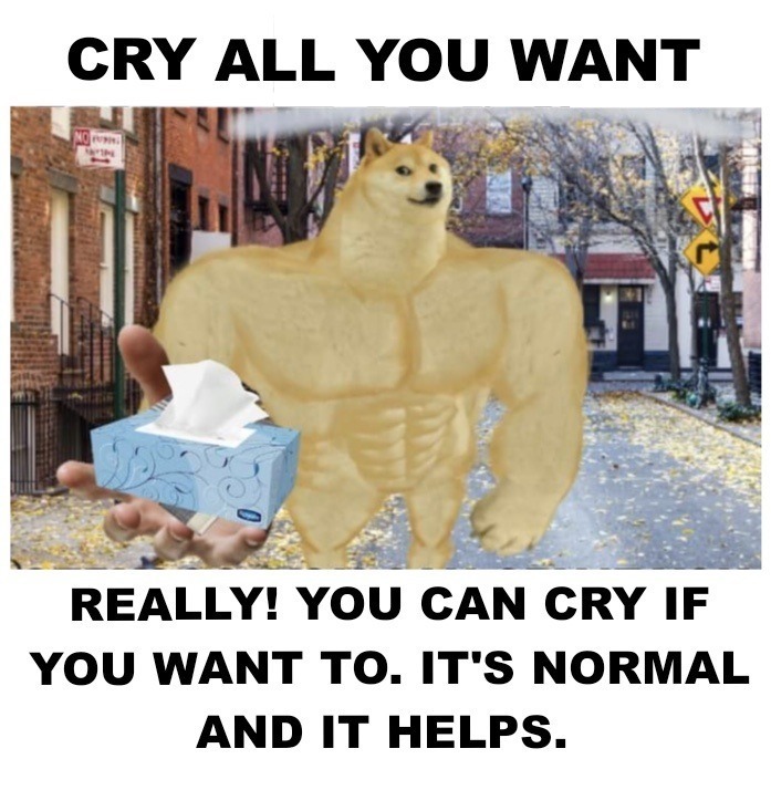 Crying relieves pain. - meme