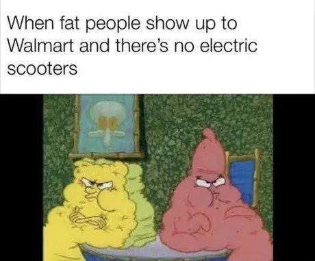 No electric scooters - meme