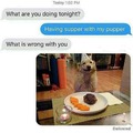 pupper supper