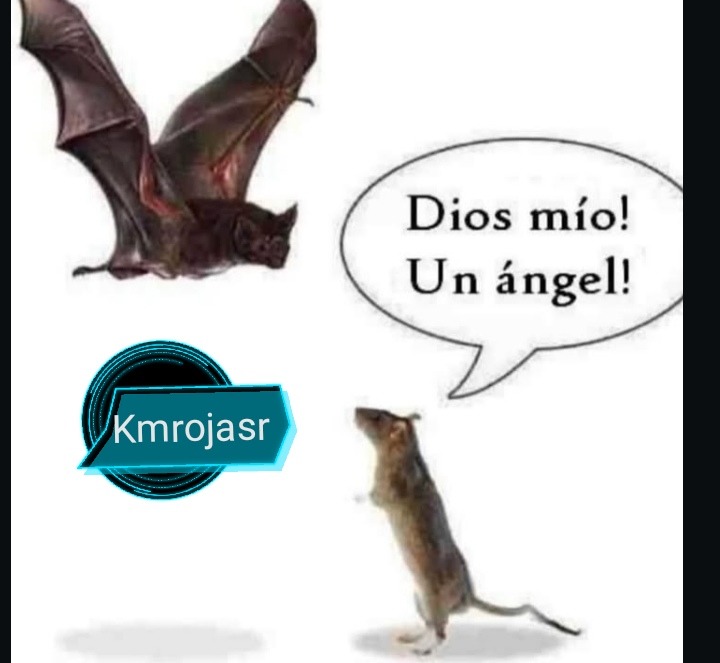 Esto puede significar muchas cosas, parece chiste pero es muy reflexivo... - meme