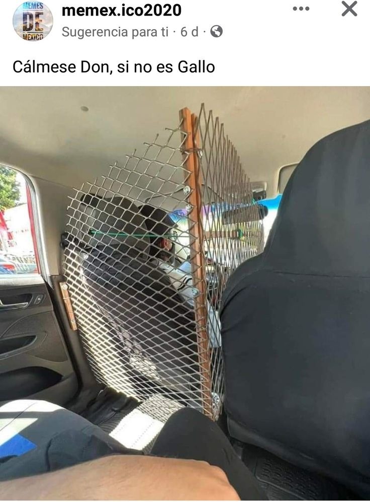 Me - meme