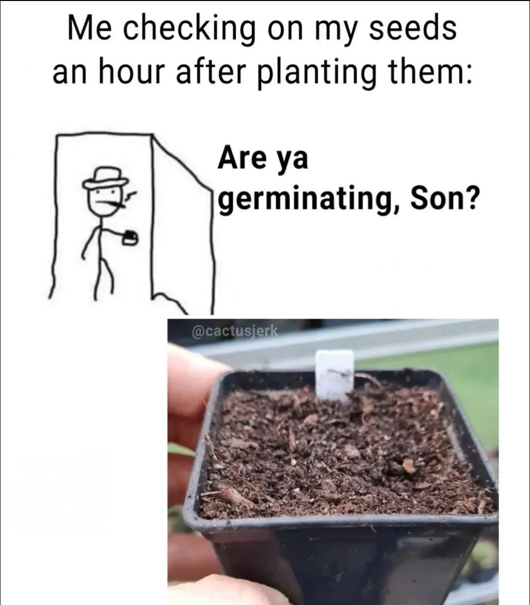 me checking my seeds like they owe me rent - meme