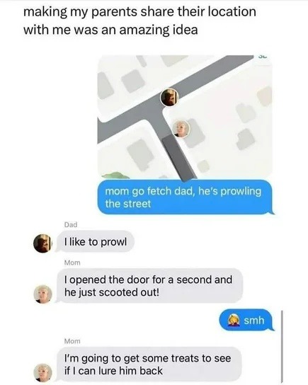 Made my parents share location and now they're my indoor cats - meme