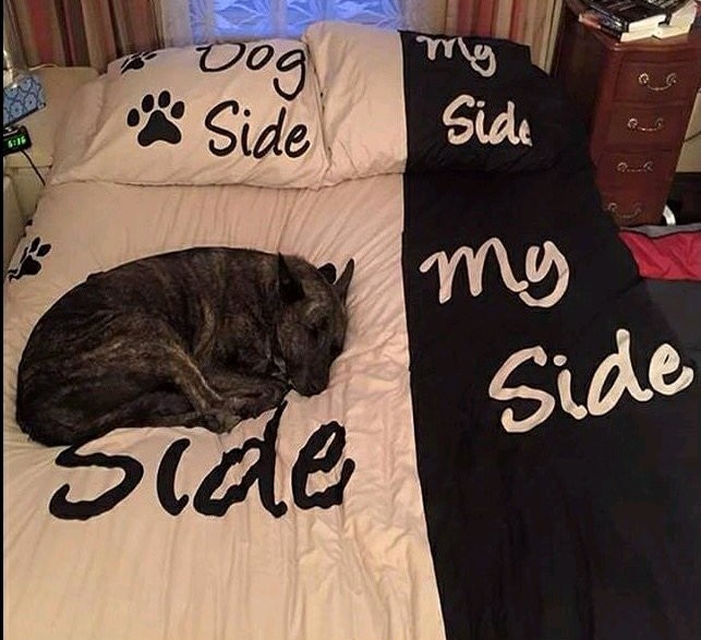 No more her side only dog side - meme