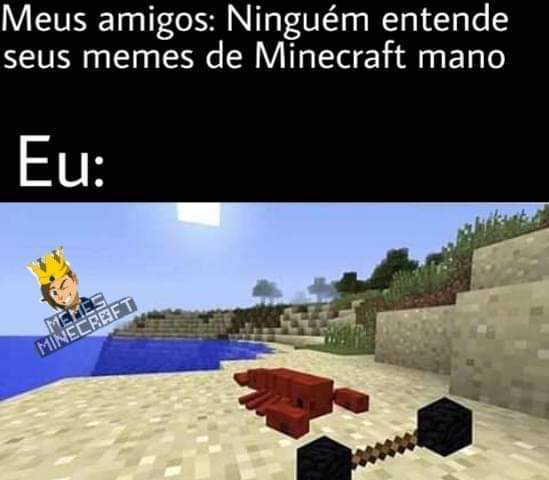 Comunidade de Minecraft on X: os dois memes do ano   / X