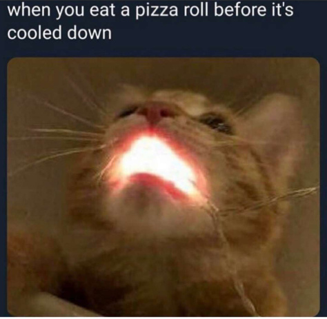 Pizza rolls - meme