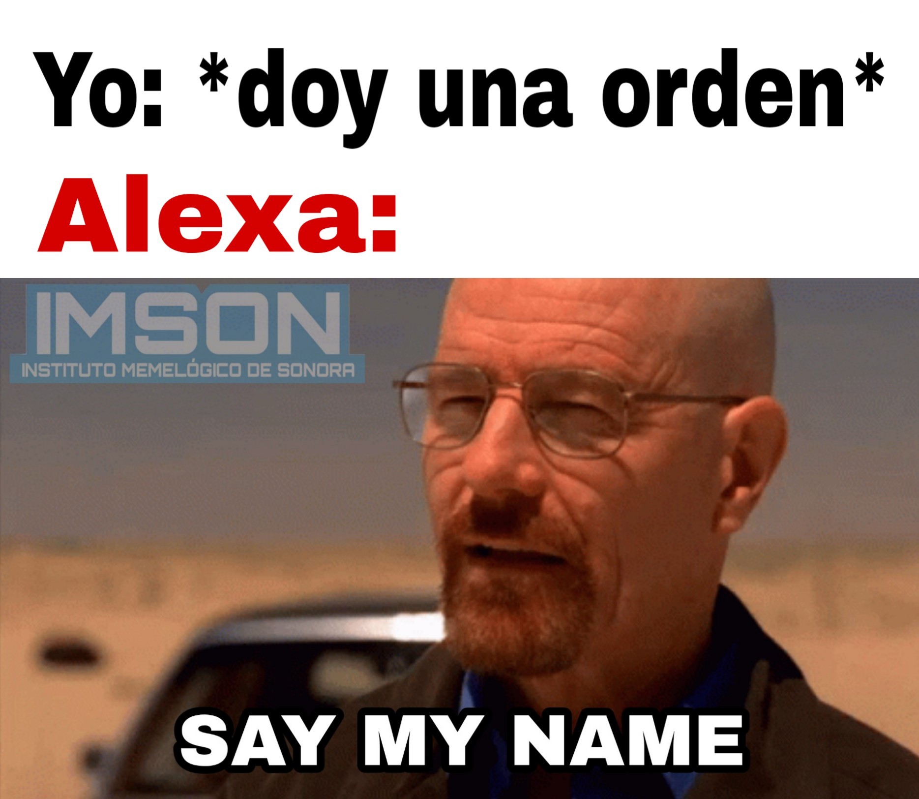 Say My NAME - meme