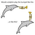 Insert trumpet