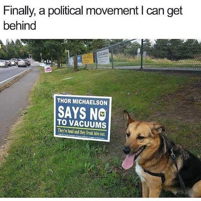 Doggo for president - meme