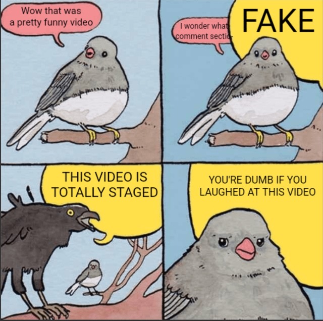 fake - meme