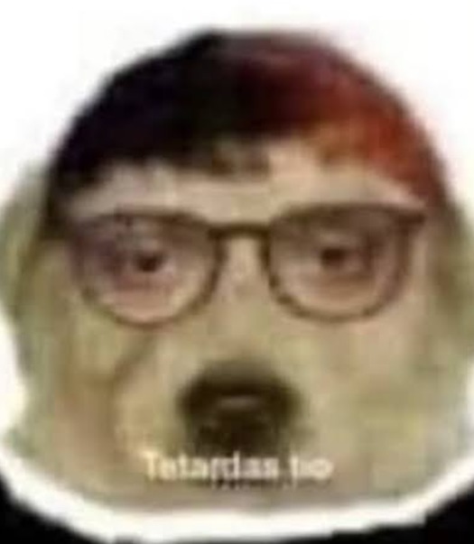 Pero sexo, Si te pones este perro de foto de perfil te lloverá sexo - meme