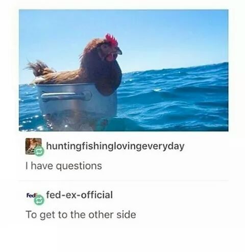 Why did a chicken swim to the other side ? - meme