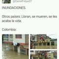 Estupidos chilenos