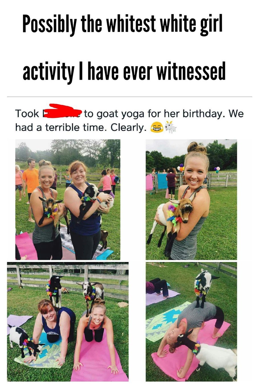 Never knew goats and yoga go together - meme